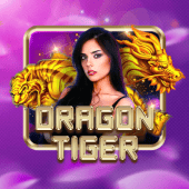 Dragon Tiger scatter slots live casino game