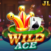 Wild Ace scatter slots slot game
